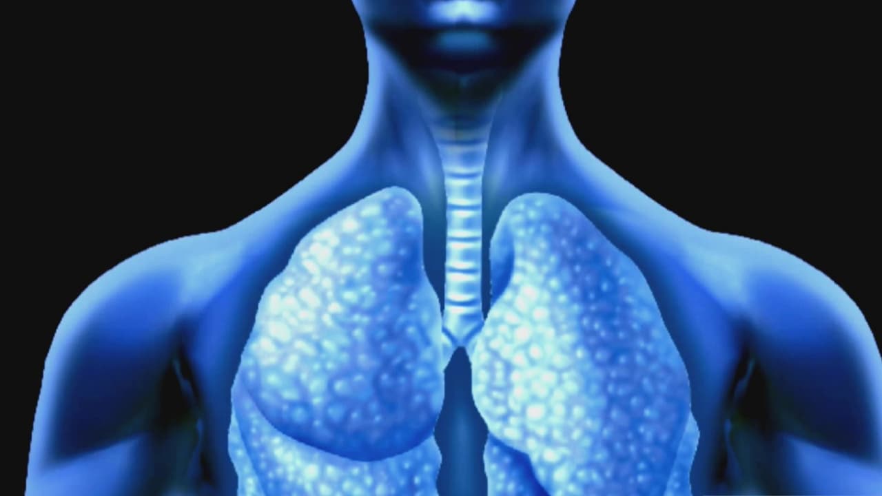 Documentos indican que CPS ignora recomendaciones de inspectores sobre reparar y remover asbesto 