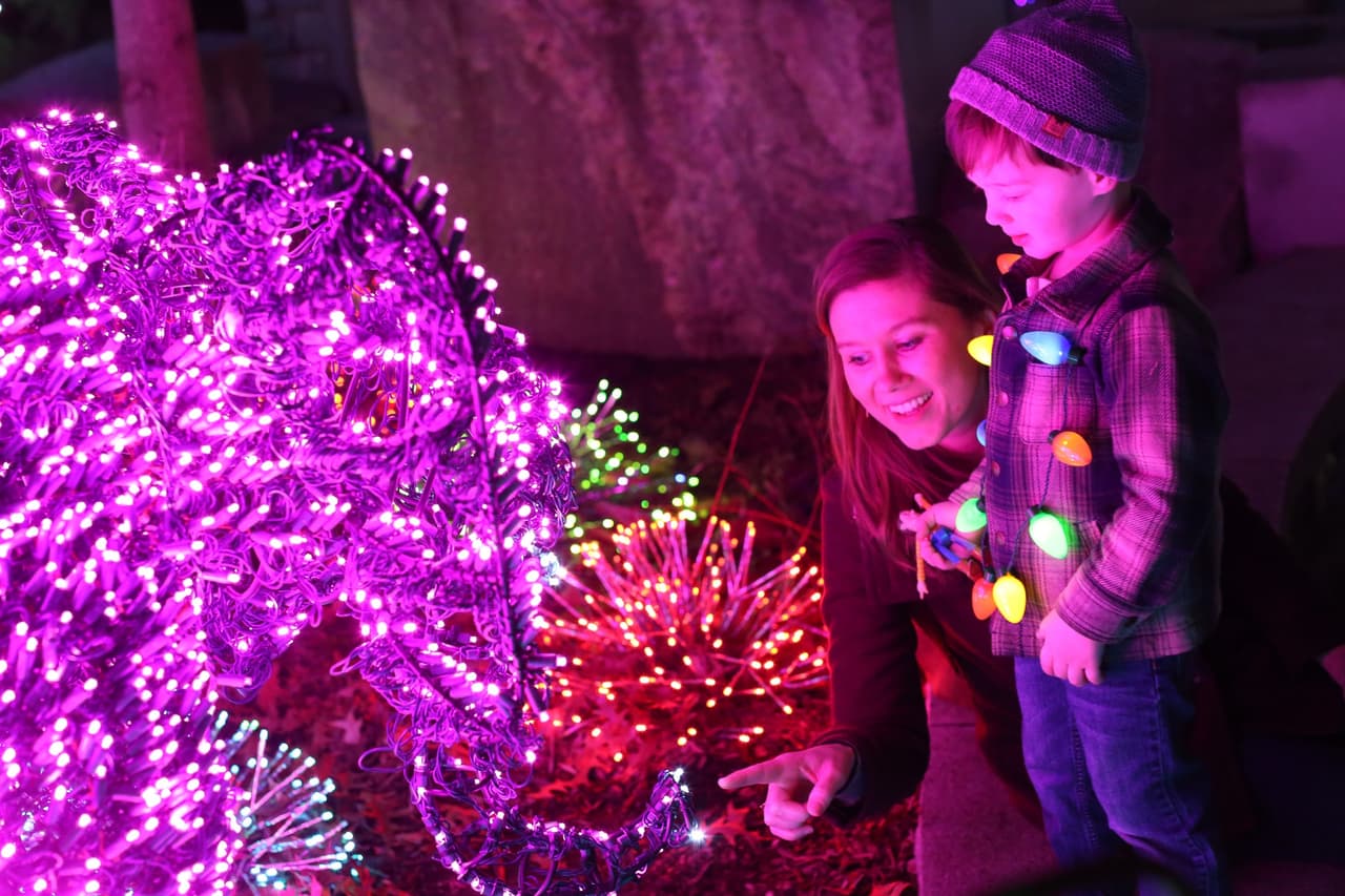 <b>Evento</b>: Winter Wonderlights
<br>
<b>Fecha</b>: Hasta el 30 de diciembre
<br>
<b>Lugar</b>: State Botanical Garden of Georgia. 2450 S. Milledge Avenue. Athens, GA
<br>
<b>Sitio web</b>: 
<a href="https://botgarden.uga.edu/wonderlights/">https://botgarden.uga.edu/wonderlights/</a> 
<br>
<br>El espectáculo de luces invernales te lleva por un sendero de media milla totalmente accesible a través de Winter Wondercave, a lo largo de Jingle Bell Lane, hacia la aurora boreal y a través de un bosque de conos, entre otras características deslumbrantes.