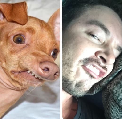 19. Dicen que si existe alguien con el mejor sentido del humor ese es J Balvin, en sus redes sociales no para de compartir los mejores chistes para alegrar el día de sus seguidores.