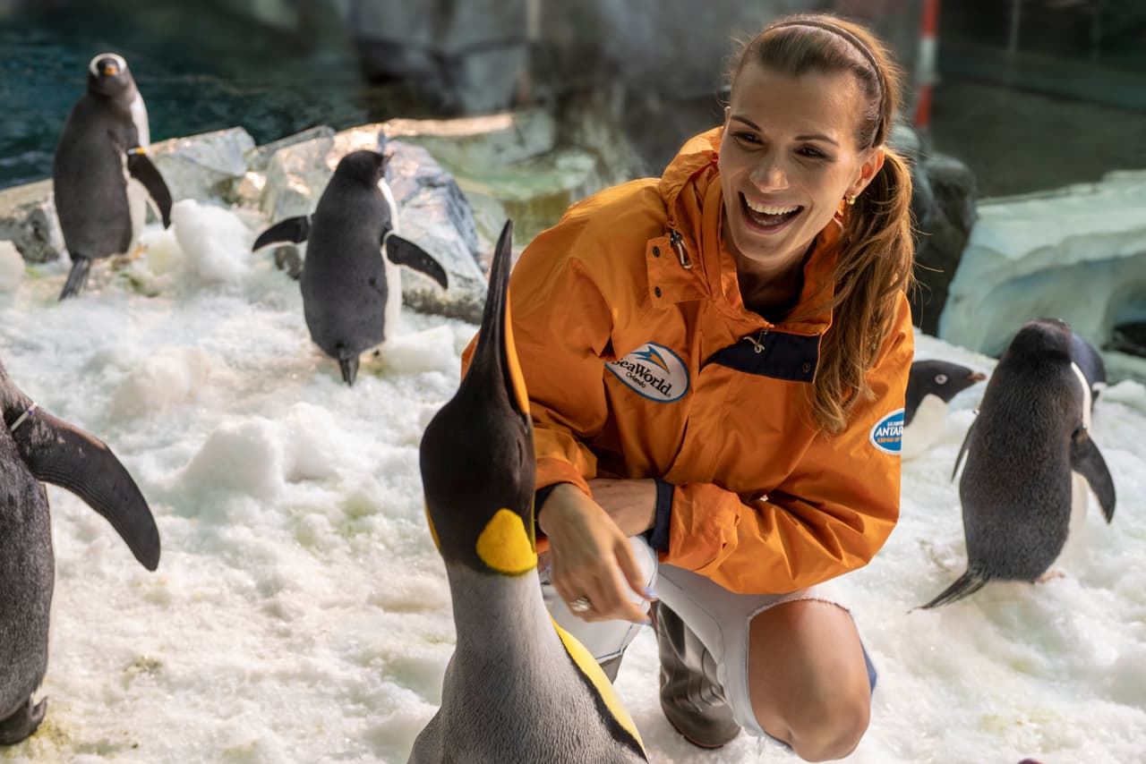 La familia Tacher la pasó de maravilla, Cristy estaba feliz rodeada de cinco diferentes especies de pingüinitos.