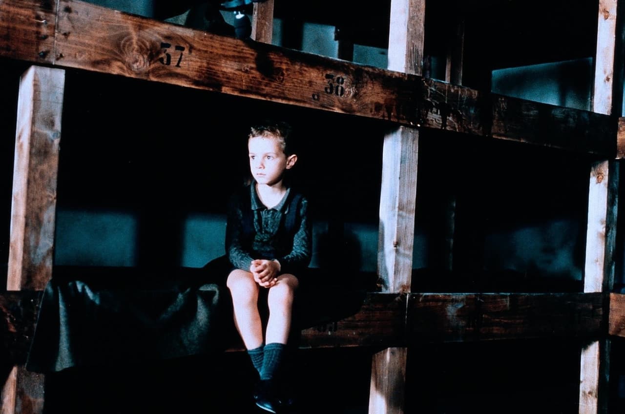 El actor nació el 12 de abril de 1992 e hizo su debut en la pantalla grande con 'La vida es bella', largometraje que ganó tres Premios Oscar en 1998 por Mejor actor, Mejor película extranjera y Mejor banda sonora.