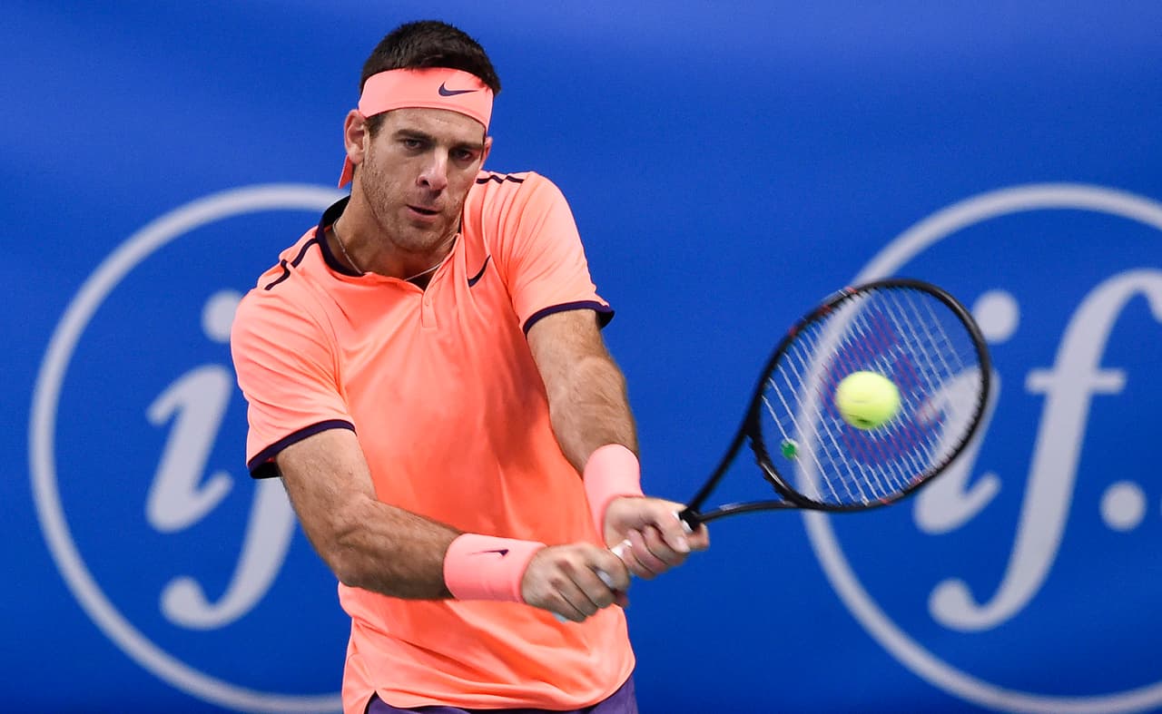 Juan Martín Del Potro vuelve a ganar un título ATP después de 33 meses de sequía