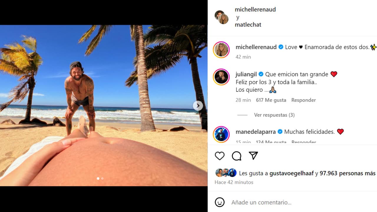 Michelle Renaud confirmó que está embarazada de Matías Novoa con esta foto.