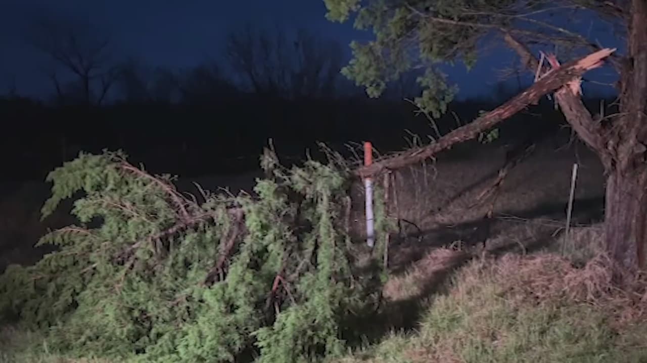 Tornado provoca la caída de árboles y casas al noreste de San Antonio