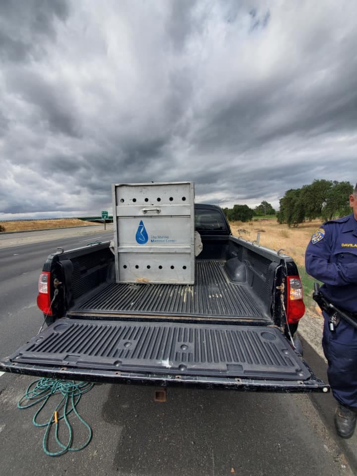Gilligan fue transportado a un centro para animales para ser evaluado.