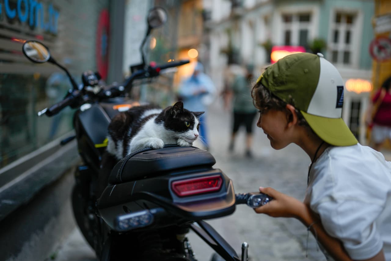Un niño pequeño juega con un gato cerca de la Torre Galata en Estambul, Turquía, el martes 30 de junio de 2026. (Foto AP/Emrah Gurel)