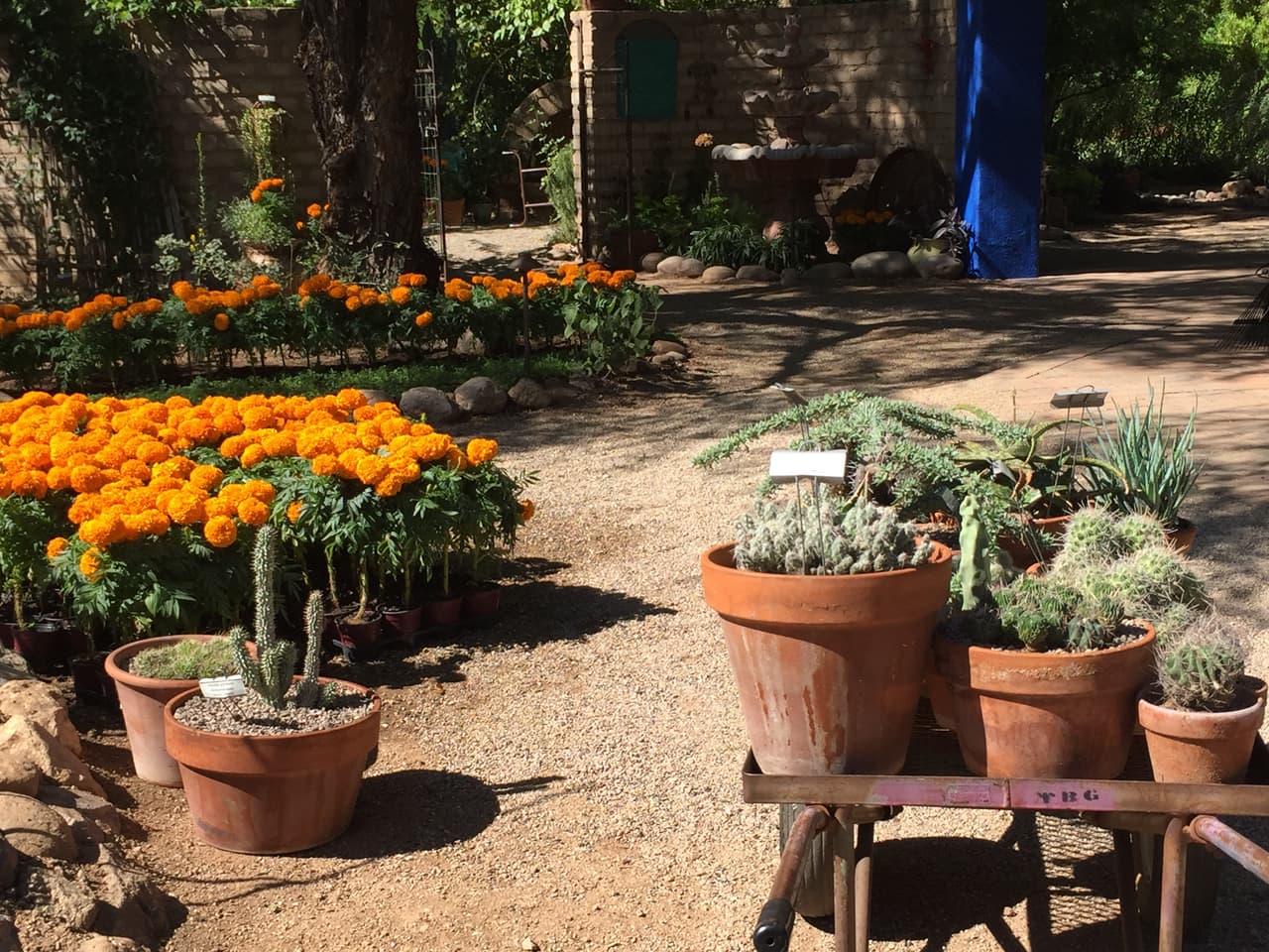 Jardines, color y arte en la exhibición de Frida Kahlo en Tucson