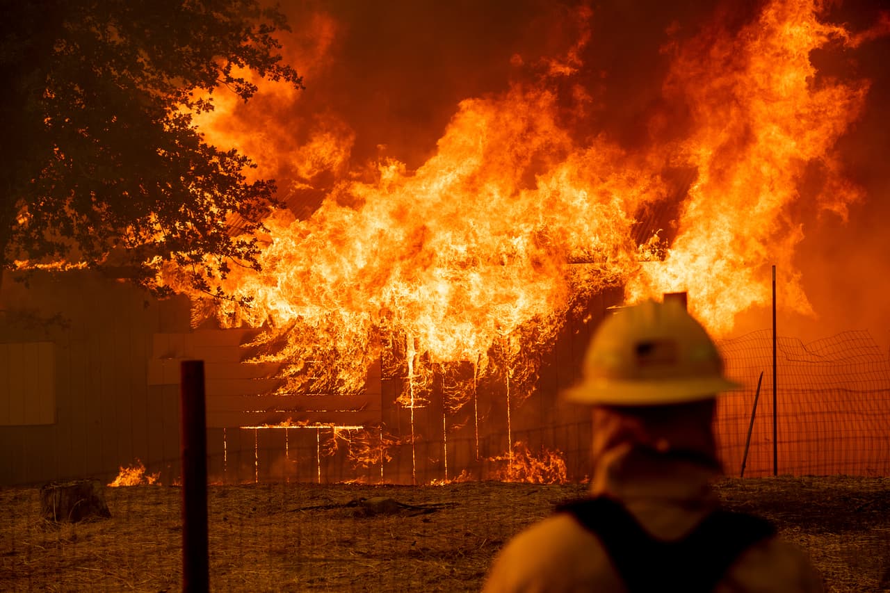 Según los expertos, los años de sequía han creado las condiciones ideales para que los incendios forestales a gran escala se extiendan a mayor velocidad.
<br>