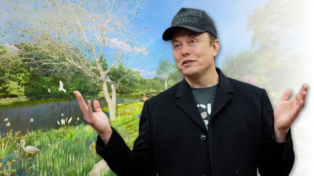 De motores eléctricos a árboles: Elon Musk planea un parque ecológico en Austin con sello Tesla