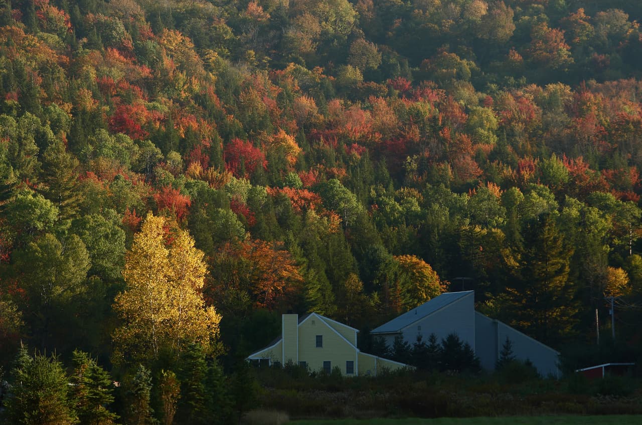 <b>Disfruta del color de las hojas:</b> Un manto de colores rojos, naranjas y amarillos cubre Pensilvania cada otoño y el estado cuenta con una gran cantidad de montañas y parques perfectos para verlo en su máximo esplendor.