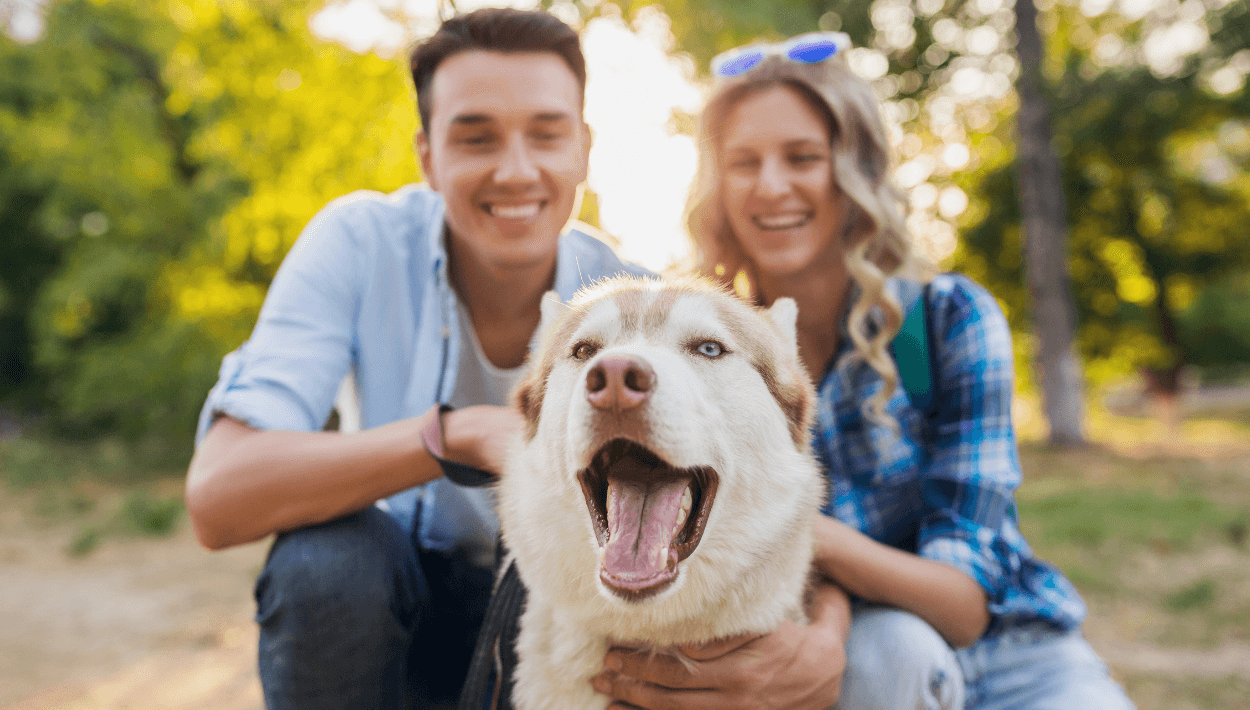 5 Datos increíbles sobre la conexión humana con sus mascotas