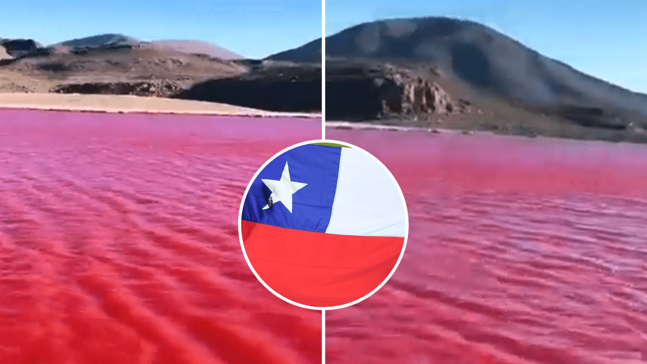 Video de supuesto río Nilo teñido de rojo era falso: mostraba una laguna en Chile