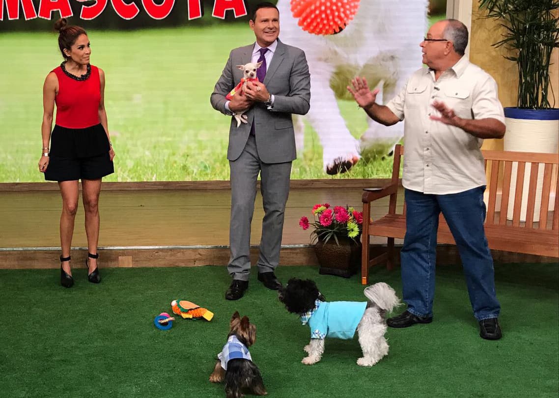 Los perritos necesitan sentirse parte de la familia y este día los llenamos de amor.