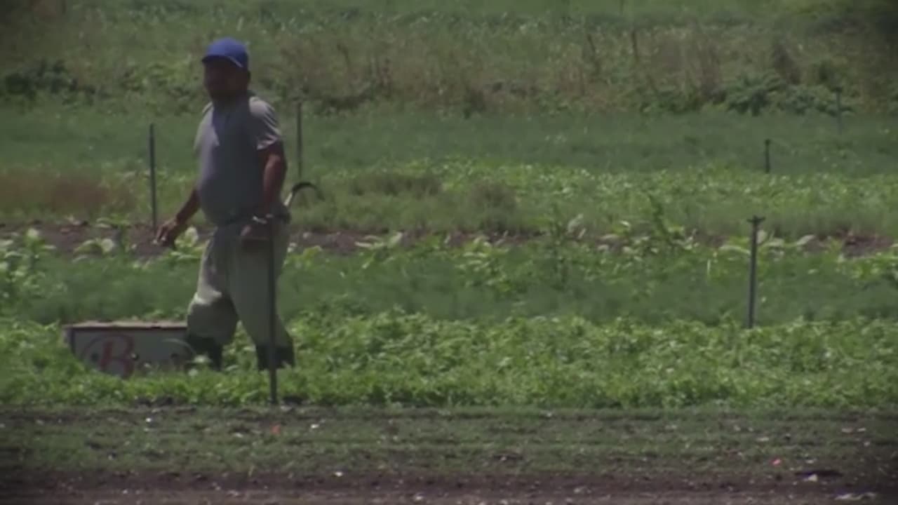 Multan por $167,000 a una empresa de paisajismo de Georgia por violar los derechos de trabajadores bajo la visa H-2A