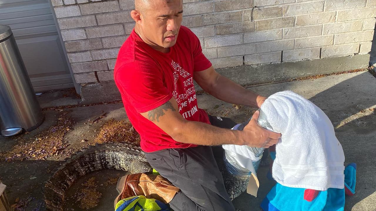 Mike Trinh decidió enfrentar al animal poniendo en práctica lo aprendido en el programa de Steve Irwin el 'Cazador de Cocodrilos', que asegura veía desde niño.