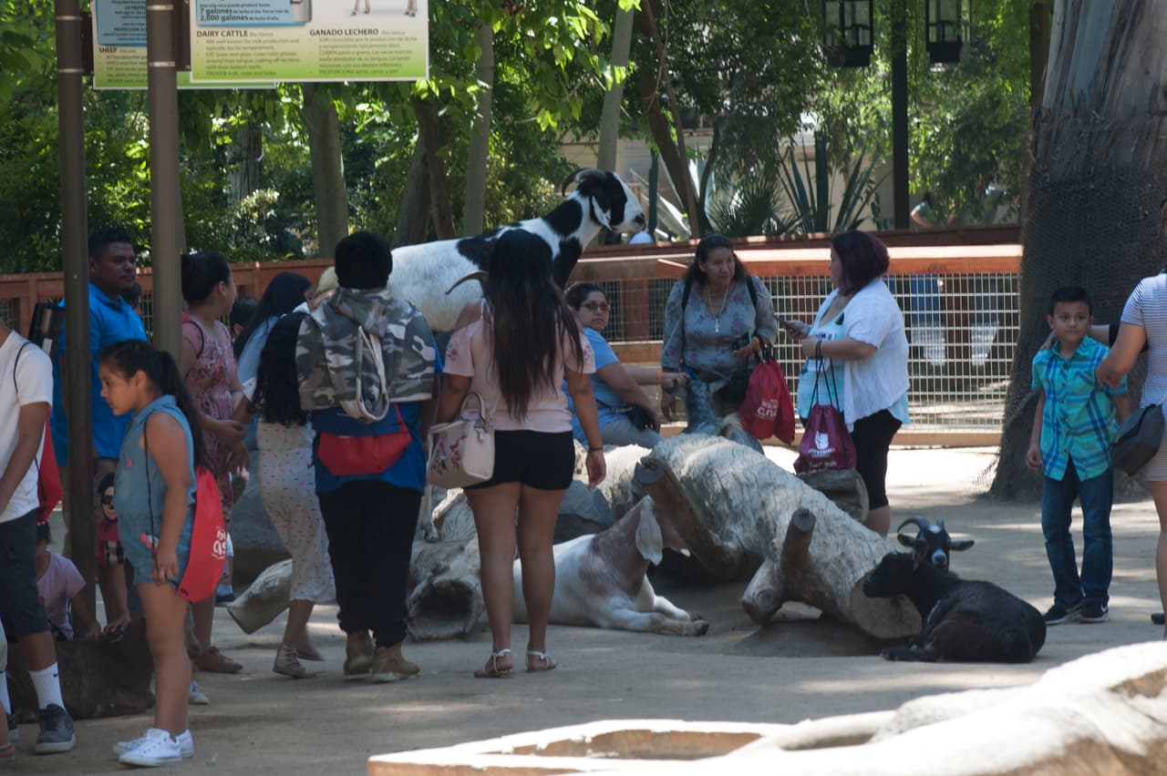Un bello dia fue perfecto para las familias desde Bakersfield a Modesto.