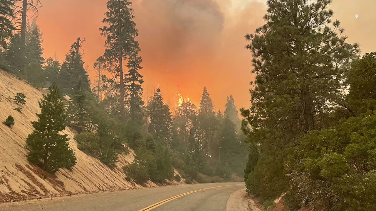 El denominado 
<b><a href="https://www.univision.com/local/fresno-kftv/emiten-orden-de-evacuaciones-en-condado-de-tulare"> KNP Complex Fire</a></b> consta de dos incendios: 
<b>Colony Fire y Paradise Fire, los cuales brotaron </b>el 9 de septiembre tras la caída de rayos en una 
<b><a href="https://www.univision.com/local/fresno-kftv/los-denominados-relampagos-secos-que-amenazan-con-causar-mas-incendios-en-california">tormenta seca.</a></b> Más de 
<b>132 rayos </b>cayeron en el 
<b><a href="https://www.facebook.com/SequoiaNF" target="_blank">Parque Nacional Sequoia y Kings Canyon. </a></b>