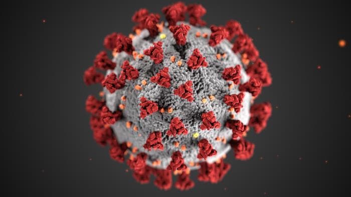 Japón detecta variante del coronavirus distinta a la del Reino Unido y la de Sudáfrica: ¿Hay razones para preocuparse?