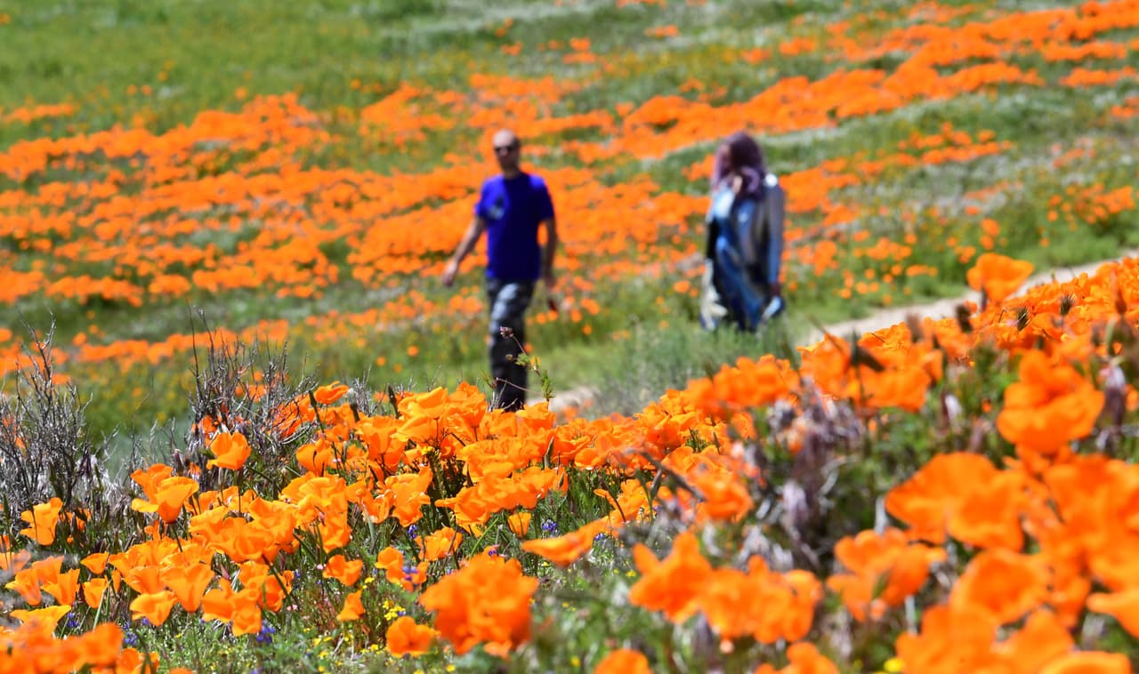 Algunas personas no han acatado las órdenes de permanecer en casa y han llegado a estos lugares evadiendo las restricciones.