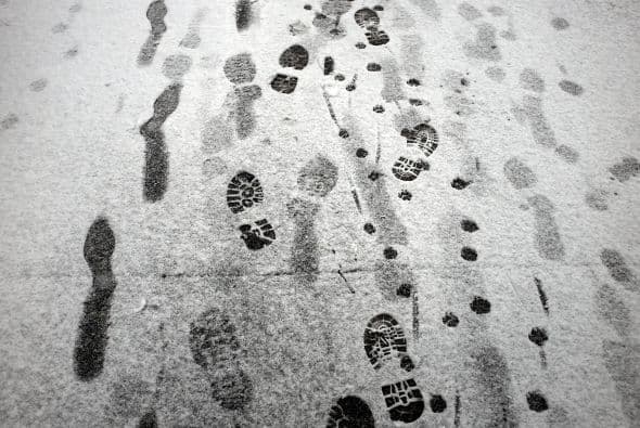 Huellas humanas y de animales en la nieve fresca cubren la acera en el barrio de Brooklyn de Nueva York
