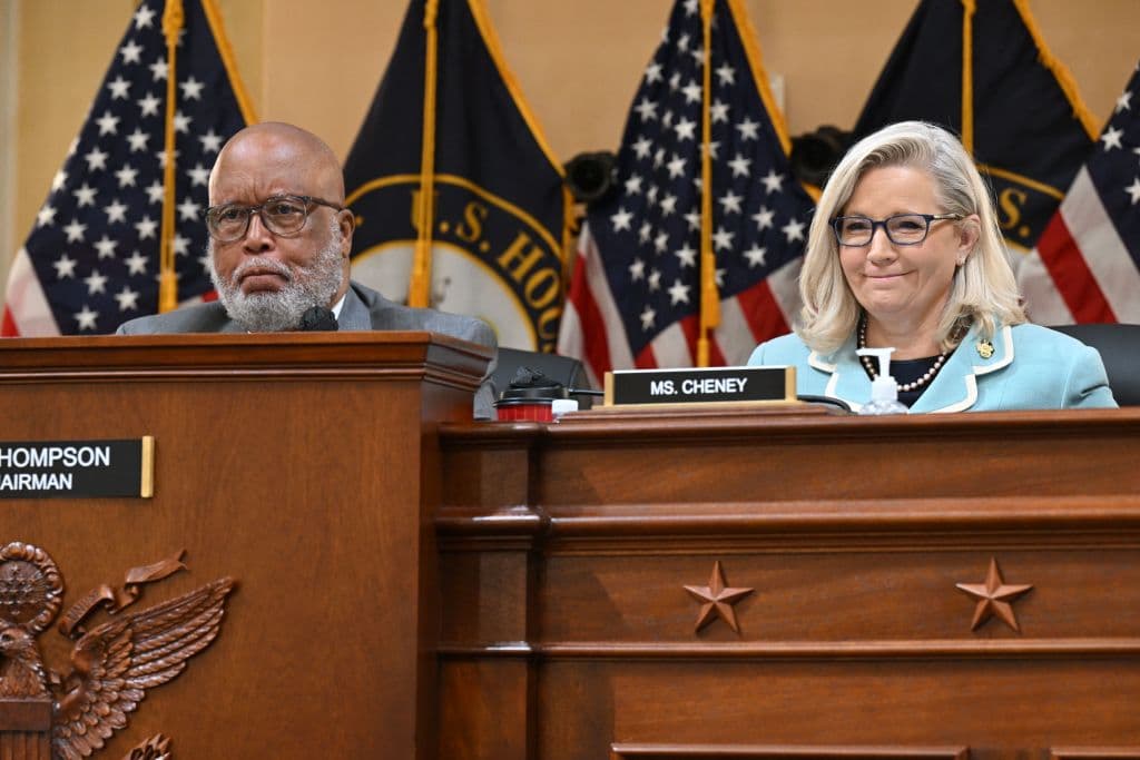 <b>Los representantes Benni Thompson (demócrata) y Liz Cheney (republicana):</b> Estos congresistas se han convertido en los rostros principales de las audiencias que ha llevado a cabo un comité especial de la Cámara de Representantes sobre el asalto al Capitolio el 6 de enero de 2021 y el papel que jugó el expresidente Donald Trump en los hechos. El comité ha entrevistado a más de 1,000 testigos. Este lunes 19 de diciembre 
<a href="https://www.univision.com/noticias/politica/comite-6-enero-celebrara-audiencia-publica-lunes-esperan-votar-cargos-criminales">llevará a cabo una audiencia final donde aseguraron que anunciarán cargos criminales</a>. Bloomberg clasifica estas audiencias del Congreso como "las más trascendentales en la política estadounidense en décadas". Por formar parte de ese comité y por sus críticas al exmandatario, Liz Cheney 
<a href="https://www.univision.com/noticias/politica/apartan-liz-cheney-liderazgo-camara-representantes-trump">fue expulsada del liderazgo republicano</a> y perdió las primarias por lo que también queda fuera del Congreso a partir de enero. 
<br>
<br>
<b>Mira también:</b> 
<a href="https://www.univision.com/noticias/politica/liz-cheney-candidatura-presidencial-2024">Liz Cheney: ¿fuera del Congreso pero con la mirada puesta en la Casa Blanca?</a>