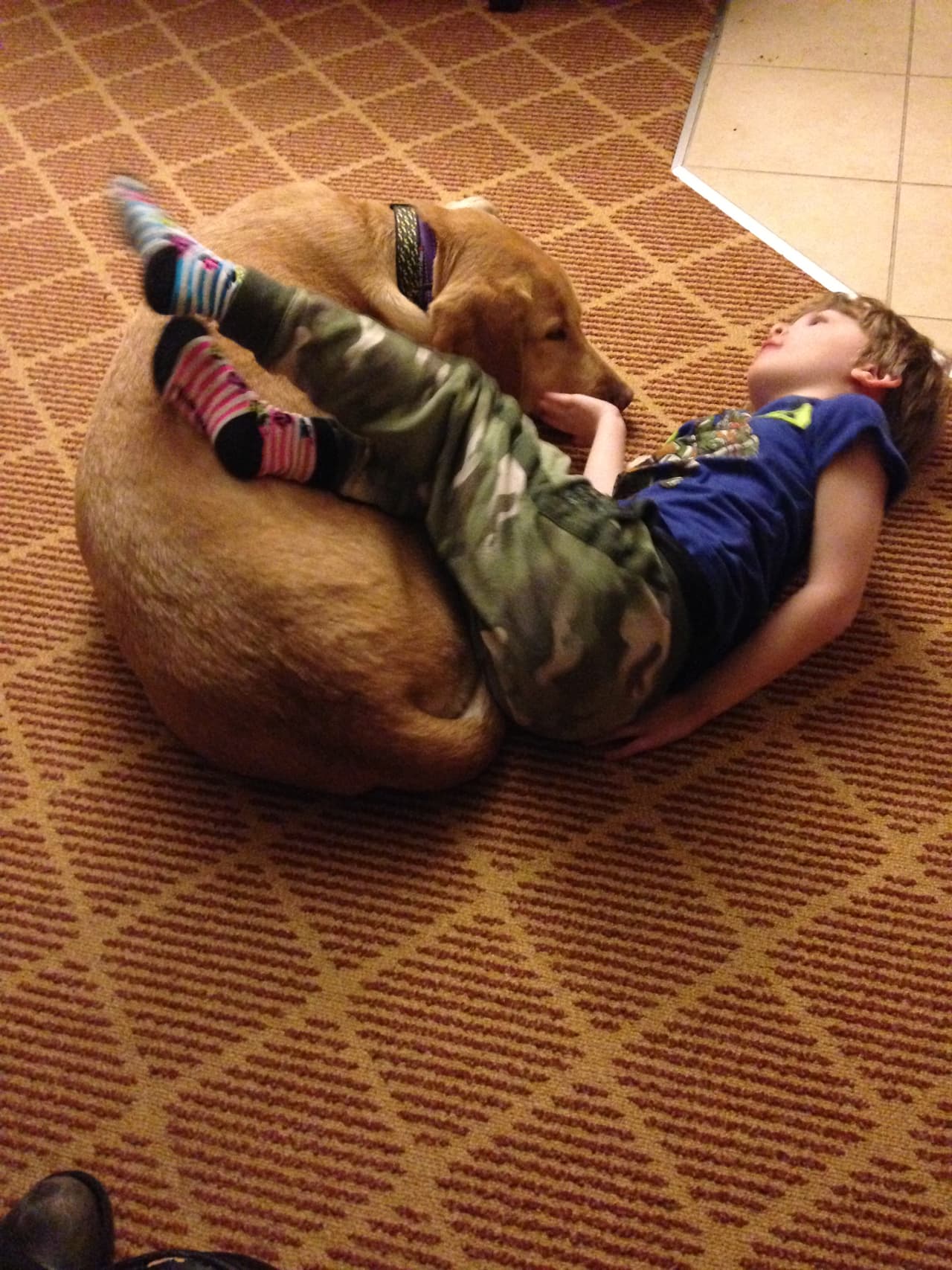 A Girl and Her Service Dog