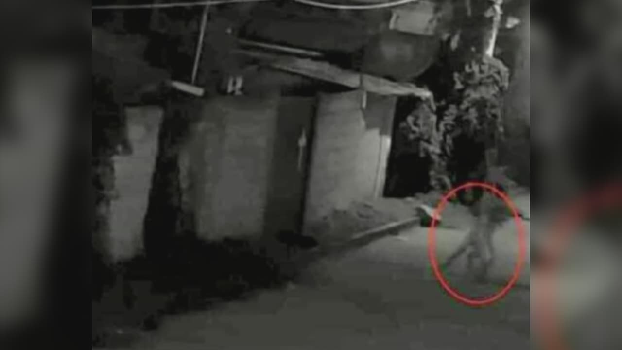 Los pobladores de una zona en el centro de México aseguran que se trata de un ser sobrenatural que se convierte en animal. Dicen que para protegerse del mal tuvieron que pintar cruces en las puertas de las casas. Ellos mostraron fotos de la supuesta criatura que, según cuentan, tiene el aspecto de una gárgola.