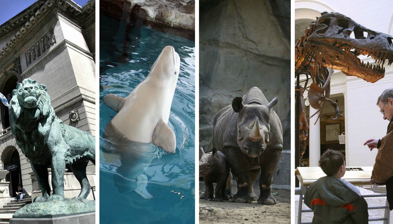 Todo sobre la Semana de los Museos en Chicago