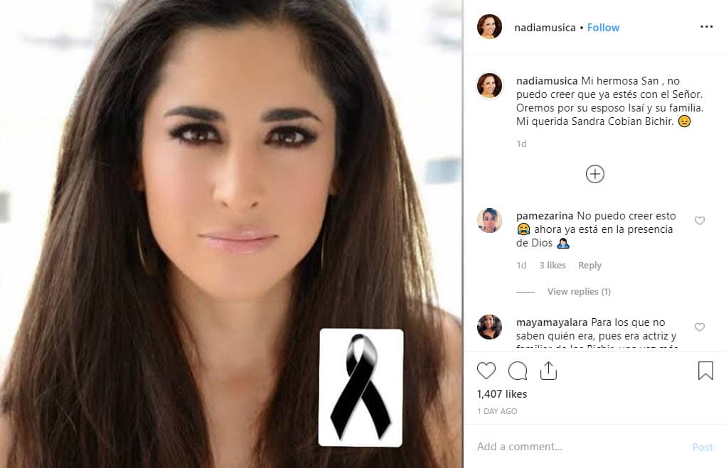 La cantante Nadia López, mejor conocida como Nadia en el mundo musical de México, también informó sobre el fatal suceso en Instagram.