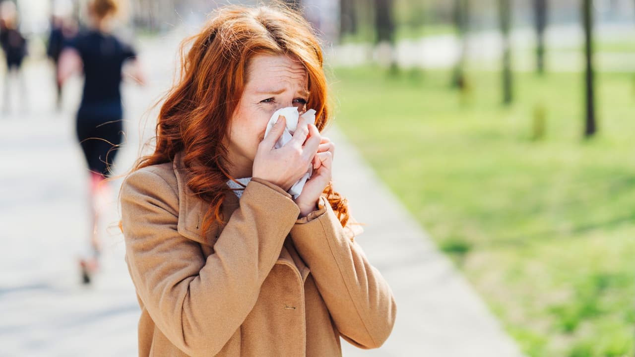 <h3 class="cms-H3-H3">Opciones de tratamiento para las alergias en Texas</h3>
<br>Si tu hijo o alguien de tu familia sufre de alergias severas, estas opciones pueden ayudar:
<br>
<b>Antihistamínicos: </b>Medicamentos de venta libre o con receta pueden aliviar los síntomas.
<br>
<b>Descongestionantes:</b> Ayudan a reducir la inflamación nasal y la acumulación de moco.
<br>
<b>Lavados nasales con solución salina:</b> Una opción natural para limpiar las vías respiratorias.
<br>
<b>Consulta con un especialista: </b>Un alergólogo puede recomendar inmunoterapia (vacunas contra alergias) si los síntomas son persistentes.