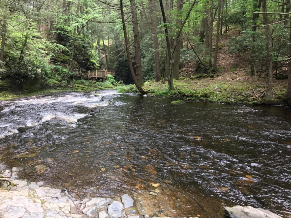 El arroyo pronto desemboca en Little Bushkill, donde el camino de la montaña se adentra en el bosque.