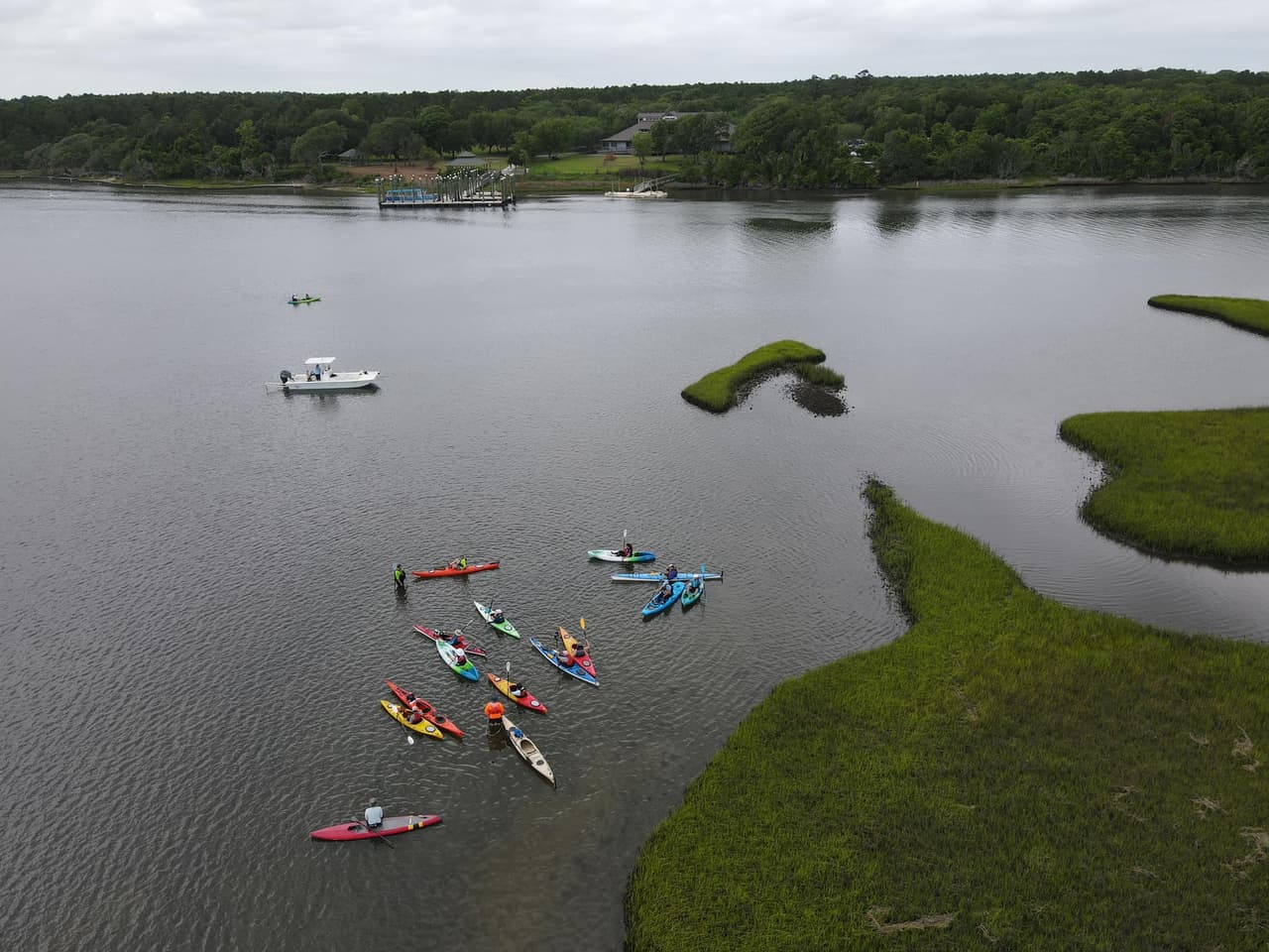 Alternativamente, los visitantes pueden alquilar o traer su propio kayak o canoa para explorar más de cerca las marismas y los bosques pantanosos marítimos que rodean las áreas insulares del parque.