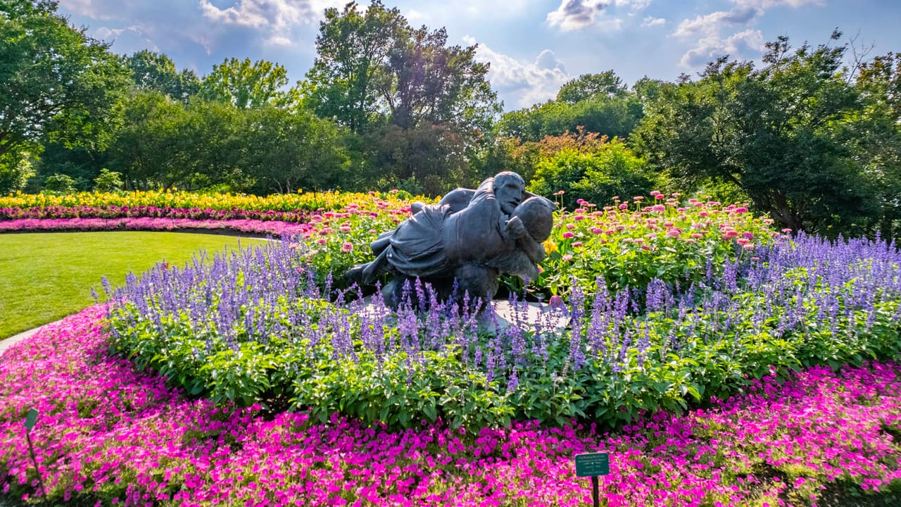 <a href="https://www.dallasarboretum.org/" target="_blank">Dallas Arboretum</a>, uno de 
<b>los lugares más emblemáticos de la ciudad</b> al norte del estado solitario, anuncia que durante el mes de agosto ofrece entradas por solo $3, mismo precio para las entradas al 
<a href="https://www.dallasarboretum.org/visitor-information/gardens-and-pavilions/childrens-adventure-garden/" target="_blank">Rory Meyers Children's Adventure Garden</a>.