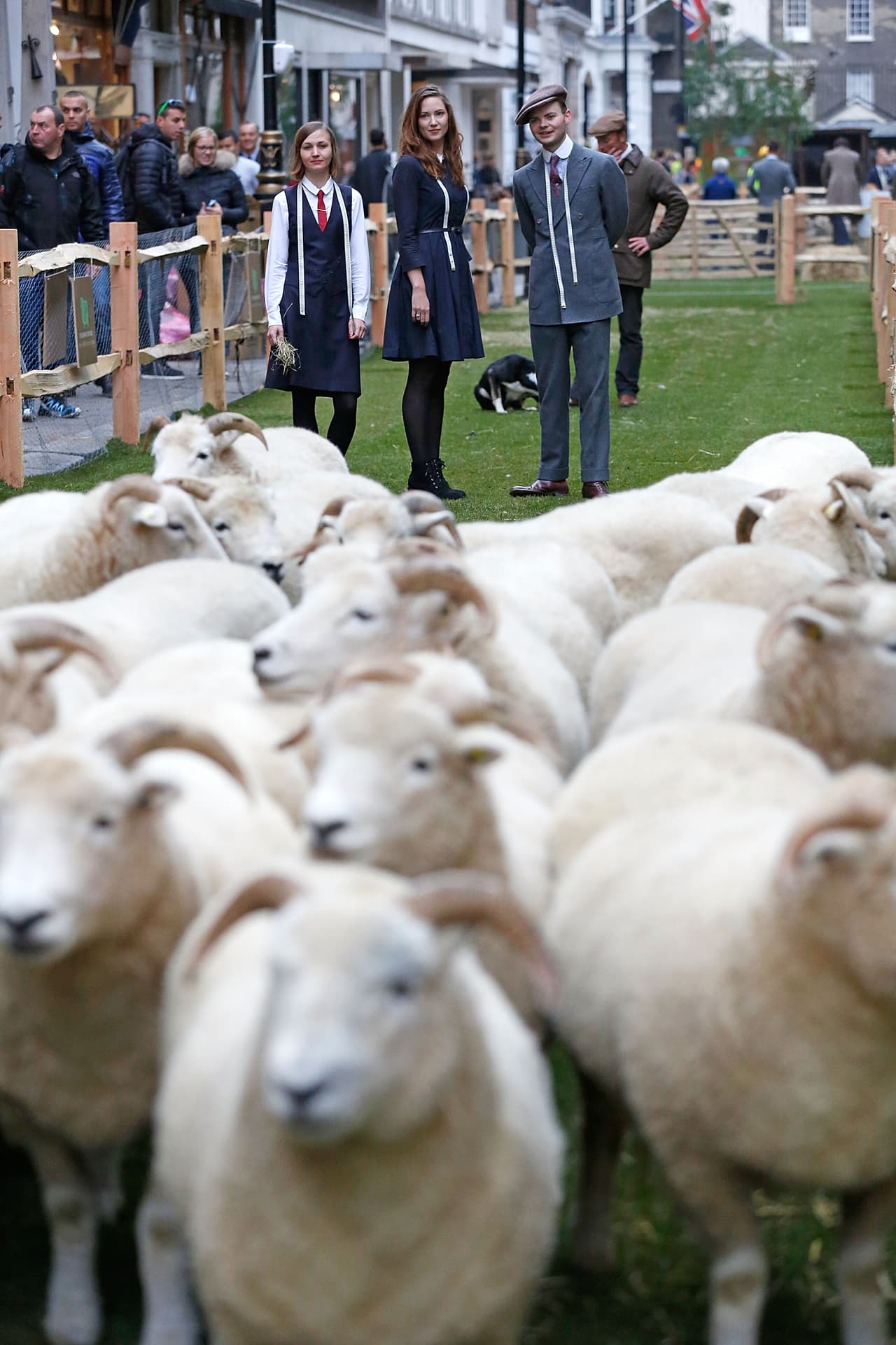 Recorren la famosa calle Savile Row como parte de la Semana de la Lana 2015.