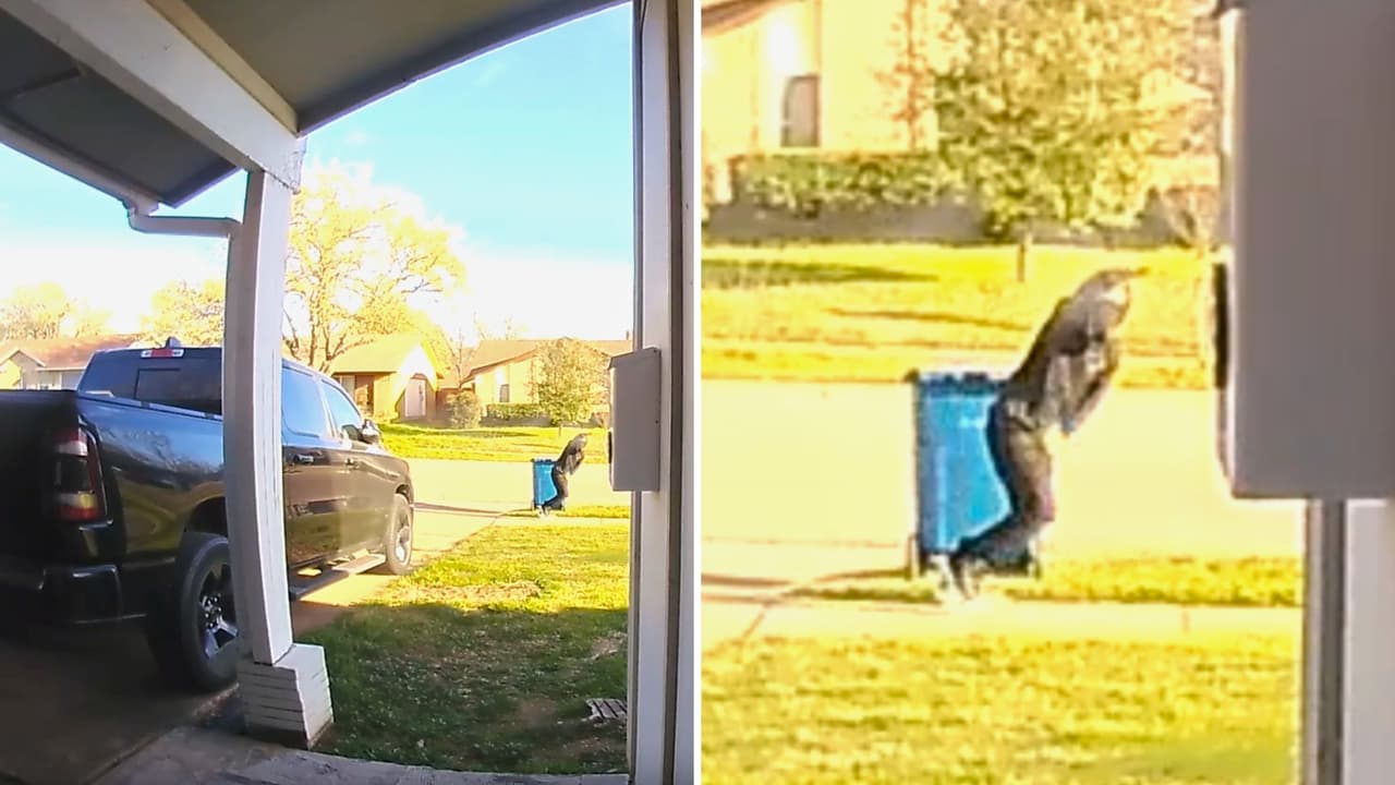 <h3 class="cms-H3-H3">Cómo colaborar con la investigación </h3>
<br>Las autoridades piden a quienes puedan tener información sobre el caso a
<b>ponerse en contacto con los detectives de la Policía de Lewisville al 972-219-3649 o por correo electrónico a CHolleman@cityoflewisville.com.</b> También se puede enviar información de manera anónima a
<a href="https://dentoncountycrimestoppers.com/sitemenu.aspx?ID=499&" target="_blank">Denton County Crime Stoppers </a>llamando al
<b>1-800-388-TIPS (8477).</b>