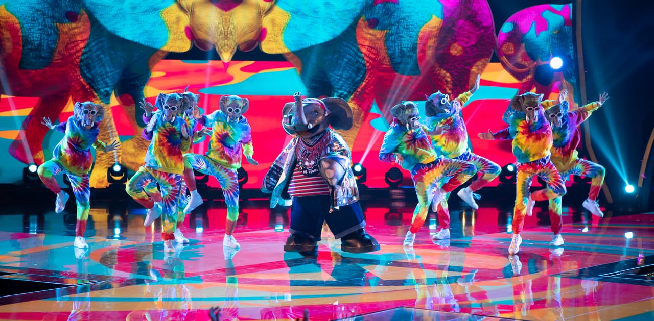 Elefante puso a todos de buenas con su ternura y alegría con el tema ‘Happy’ de Pharell Williams. Pero también conmovió a los investigadores cuando en sus pistas contó que había perdido a un 'elefantito'.