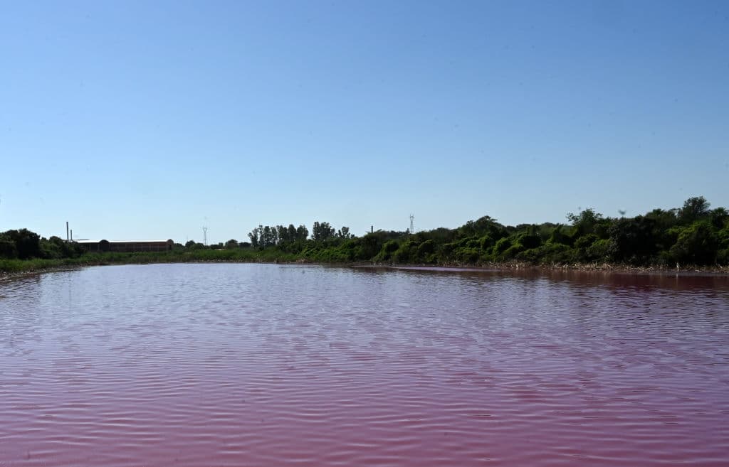La jefa de laboratorio del ministerio, la ingeniera Rosa Morel, sostuvo que de las primeras muestras "se observan indicios de contaminantes químicos y orgánicos". "Definir el tipo de contaminante es clave para orientar la recuperación del agua", indicó.