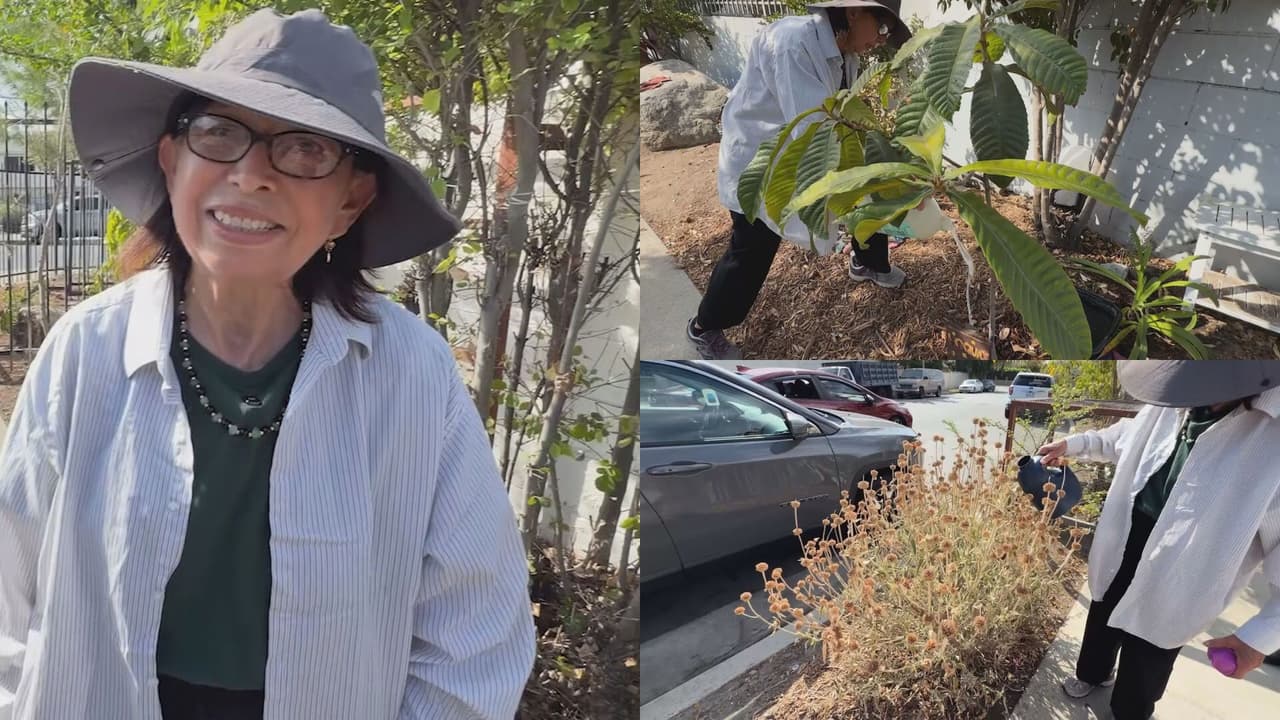 Llevan agua en envases plásticos para mantener vivo un jardín comunitario en Pacoima 