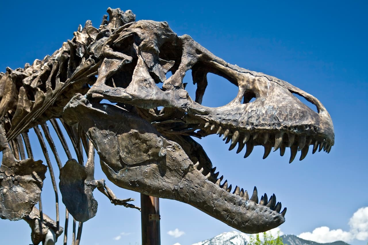 No, no se estaban extinguiendo: sin el impacto del asteroide, los dinosaurios hubiesen continuado su dominio, según una investigación