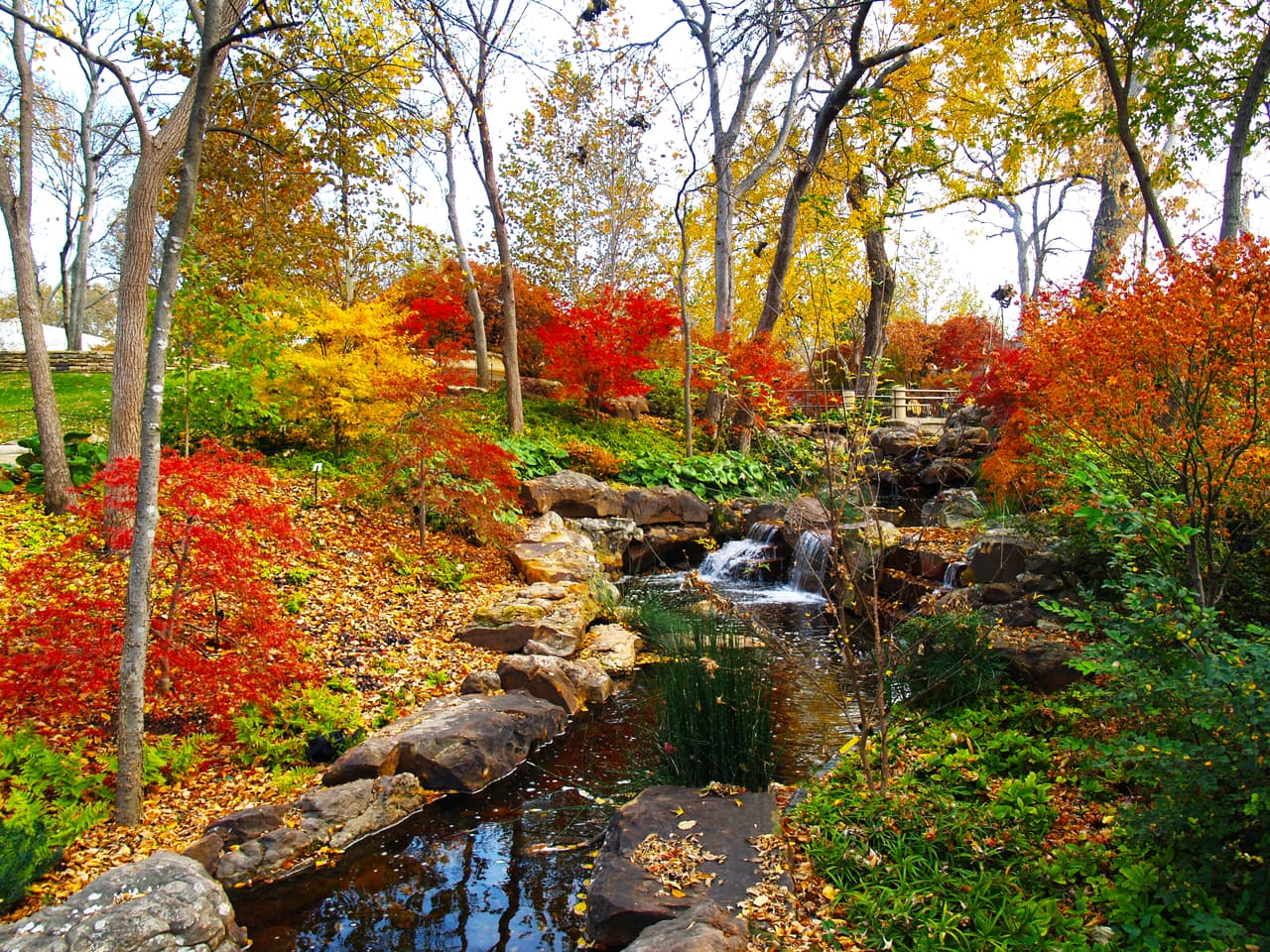 El espectáculo de otoño A Fall FairyTale está del 17 de septiembre al 31 de octubre en el Dallas Arboretum. Las entradas van de los 12 a los 20 dólares y las 
<a href="https://www.dallasarboretum.org/events-activities/" target="_blank">puedes adquirir aquí</a>.