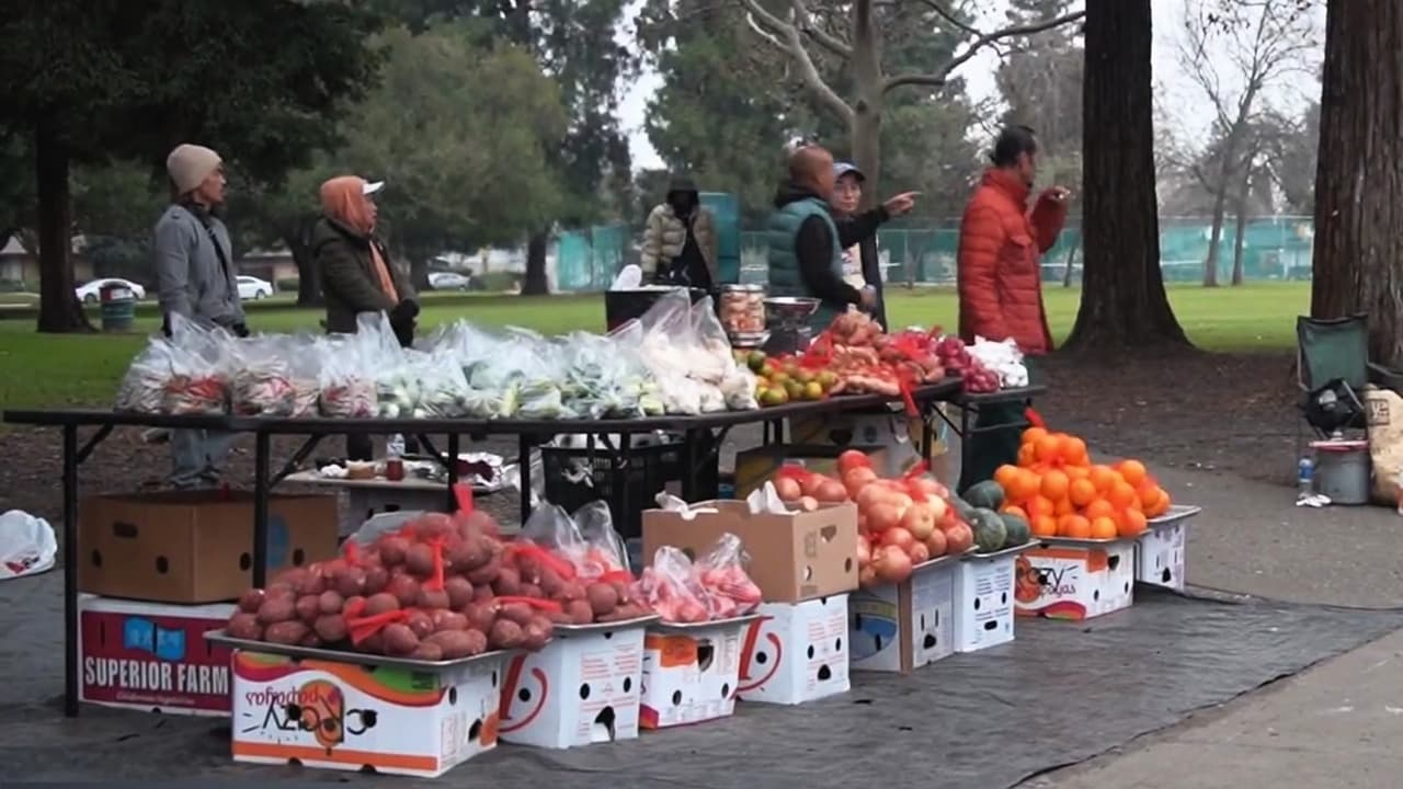 Stockton facilita permisos para vendedores ambulantes a partir del 15 de enero de 2026