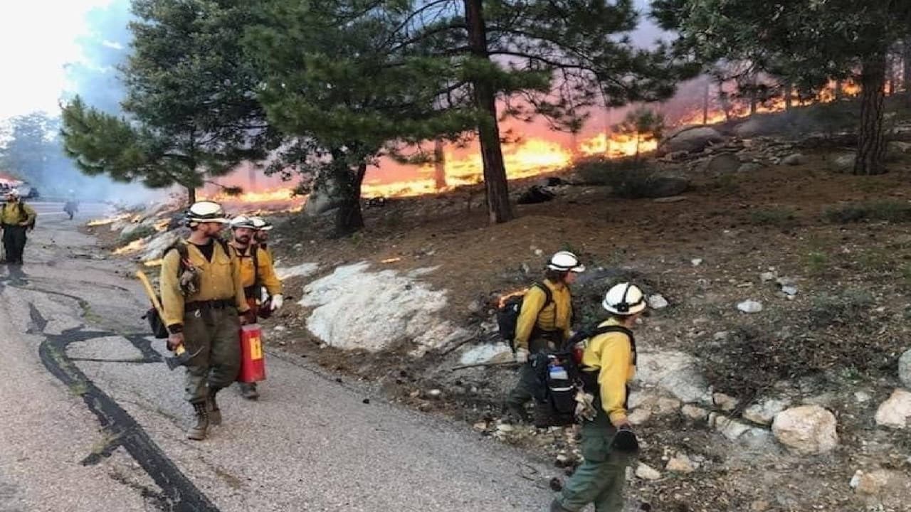  Emiten nueva orden de evacuación al sur del Arizona por la propagación del incendio Bighorn