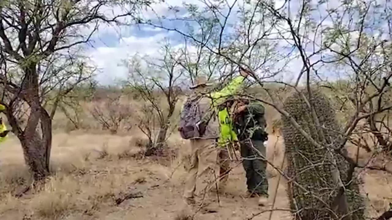 Hallan los cuerpos de dos migrantes en el desierto de Arizona