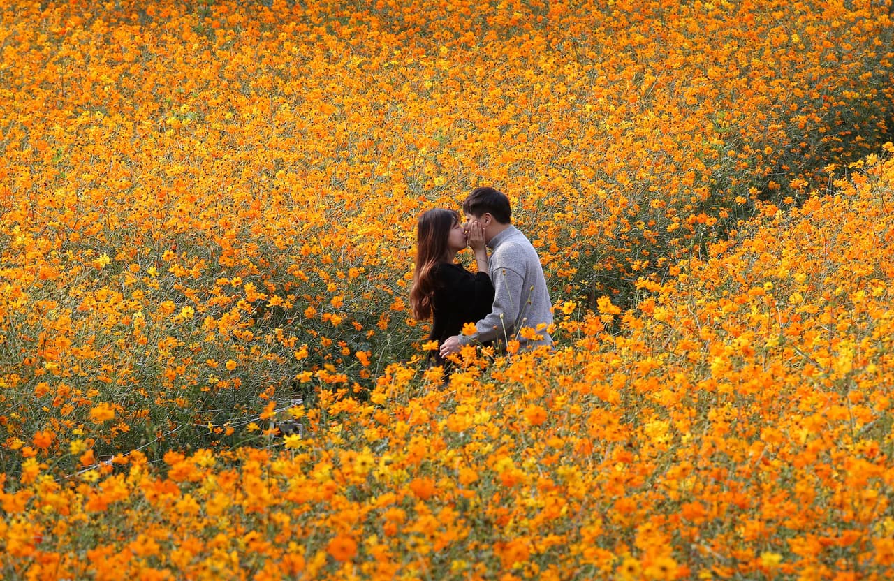 Por lo que recomienda tener pareja estable o por lo menos conocer bien a las personas con las que se tienen intercambios íntimos apasionados.
<br>
<br>