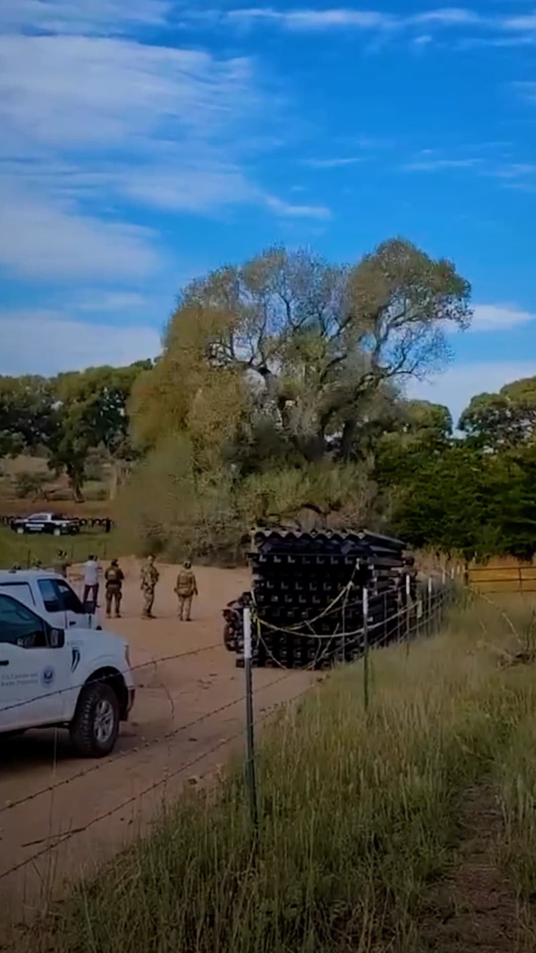 Agentes de EEUU derriban un árbol de más de 200 Años por construcción del muro fronterizo