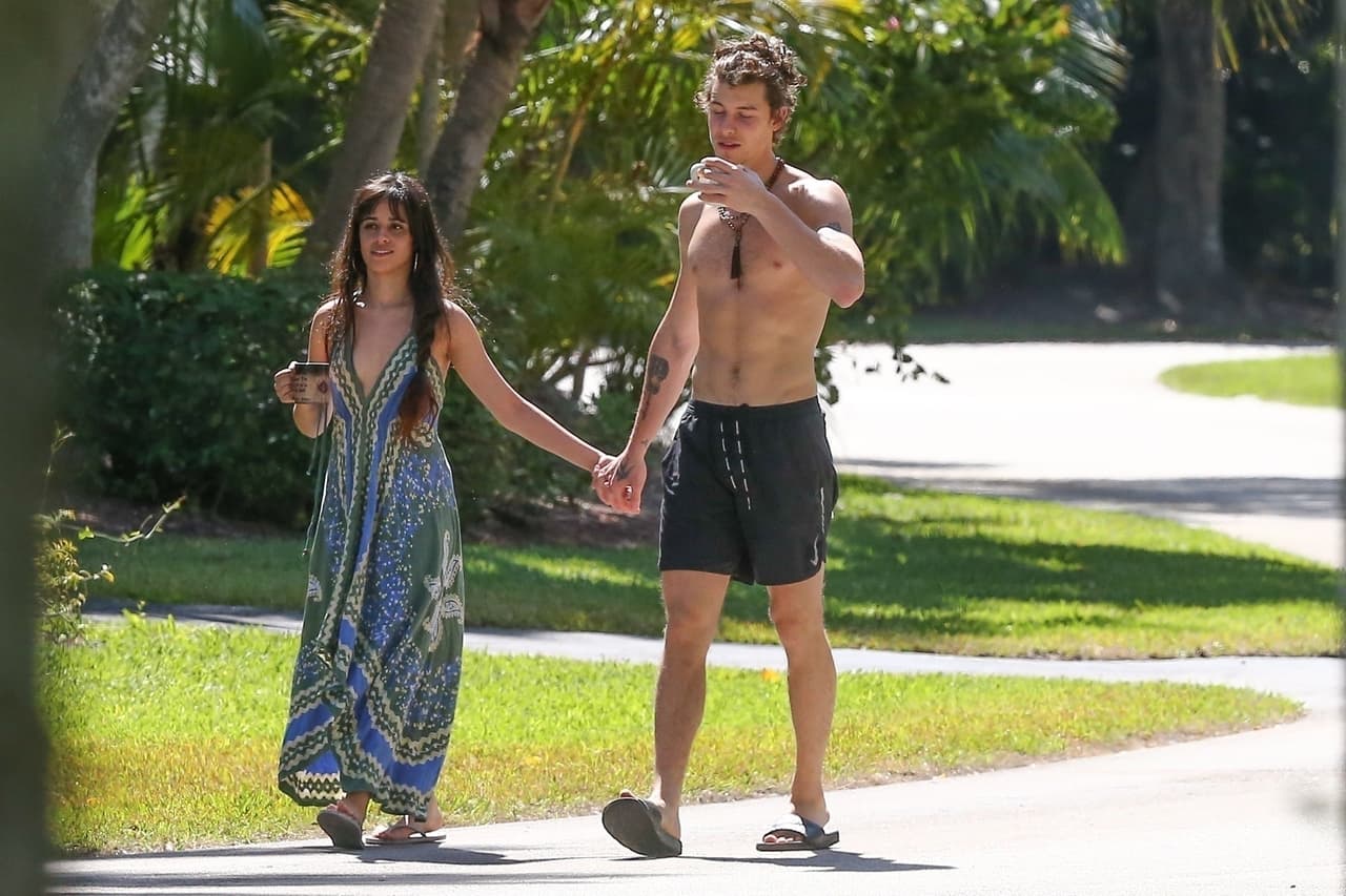 La 
<b><a href="https://www.univision.com/famosos/el-dia-de-la-independencia-marco-un-antes-y-despues-entre-shawn-mendes-y-camila-cabello-fotos" target="_blank">historia de Cabello, de 24 años, y Mendez, de 22</a></b>, se remonta desde 2015 cuando los dos colaboraron en la canción 'I know what you did last summer'. 
<br>