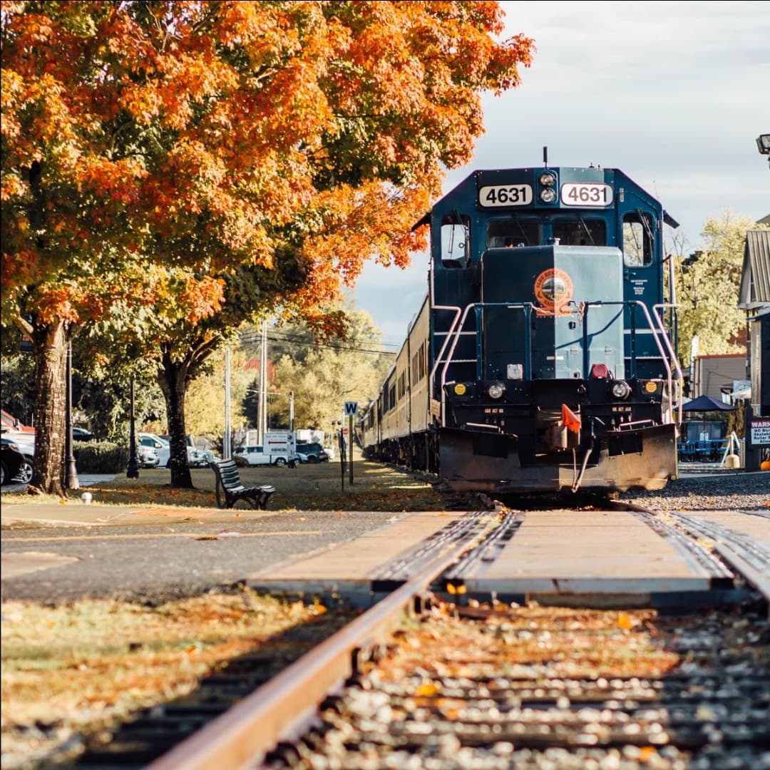 La temporada abre oficialmente el 5 de marzo con sus tradicionales recorridos de 2 y 4 horas.
