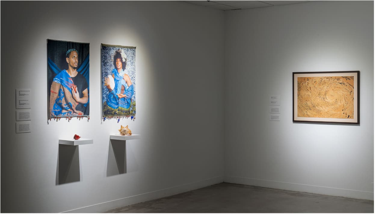 Exposición latina UMOCA