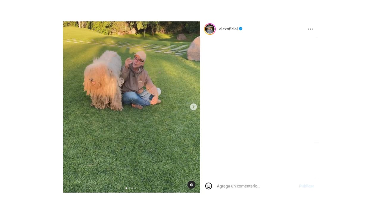 Kush es un perro de raza komondor.