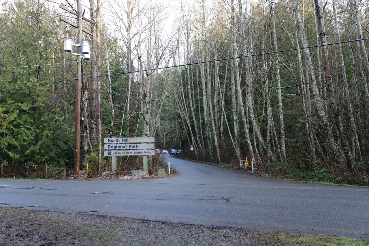 Se trata de una serie de fotografías en las que no aparecen los duques, solo se ven algunos de los espacios en los que han sido vistos. Por ejemplo, el parque Horth Hill.